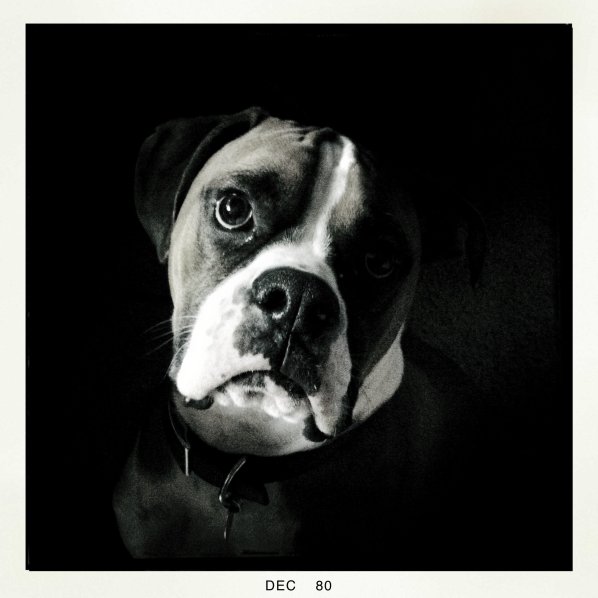 170293_913940658527_129677_o